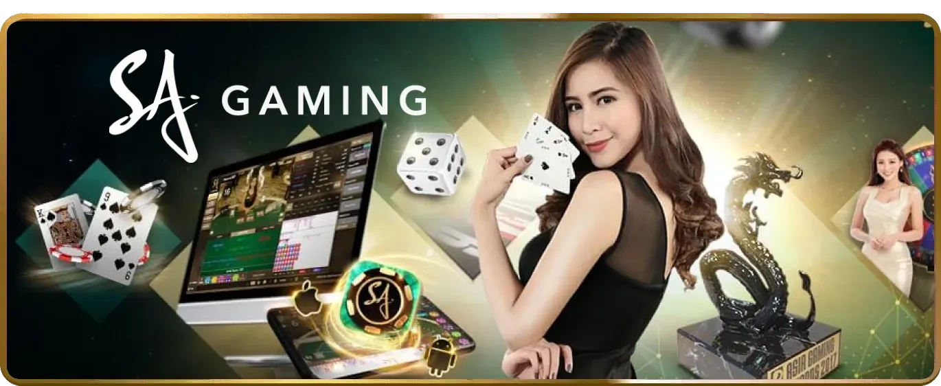 Giấy phép hoạt động DR88